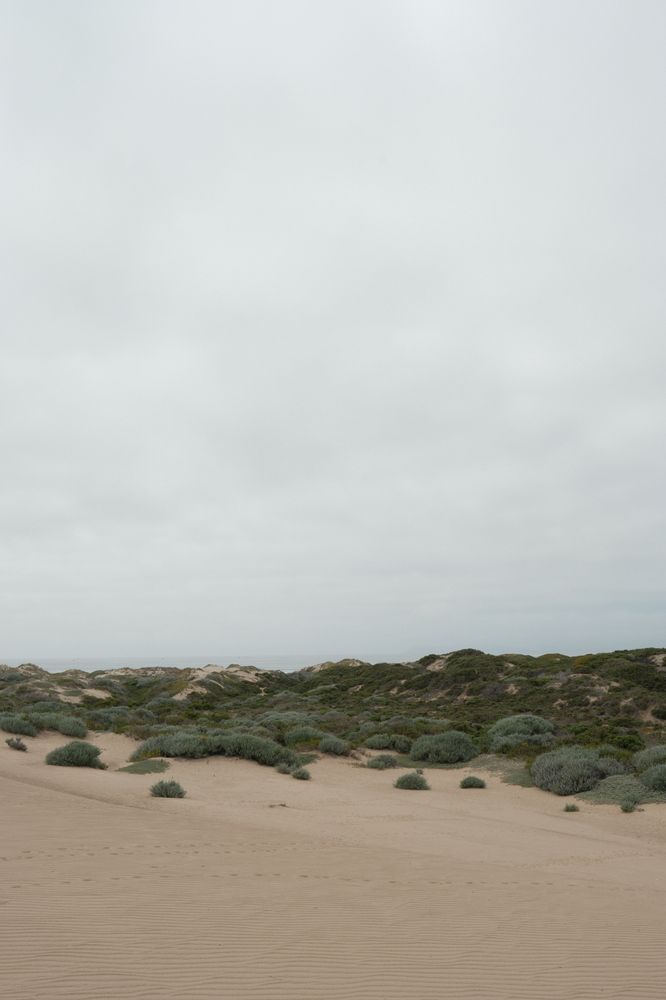 Arroyo Grande 1