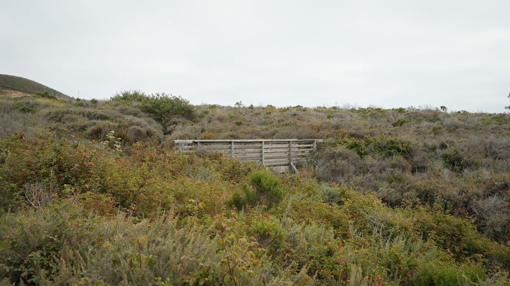 Arroyo Grande 2