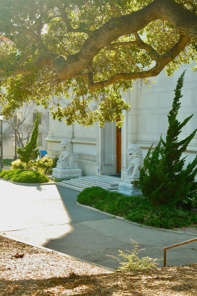 Berkeley Spring 1