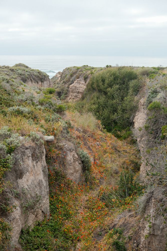 Arroyo Grande 4