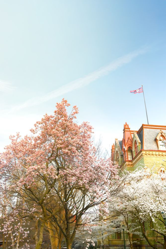 Penn Spring 1