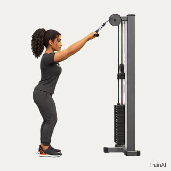 Cable straight-arm pulldown · TrainAI