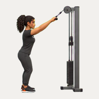 Cable straight-arm pulldown · TrainAI