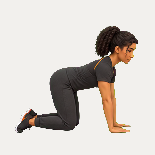 Quadruped wrist rock · TrainAI