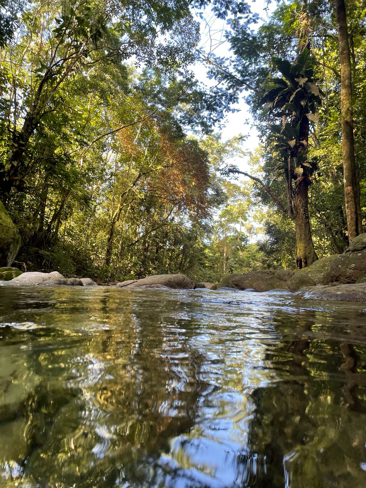 Telamar Trading Dashboard