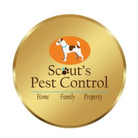 Scout's Pest Control logo