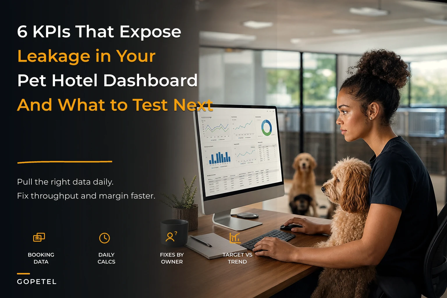 The 6 KPIs every pet hotel needs—and the experiments that fix them