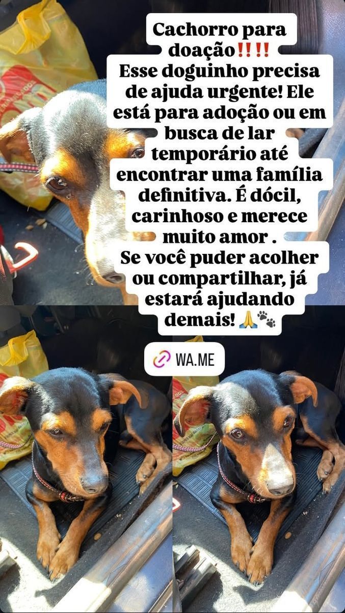 nego