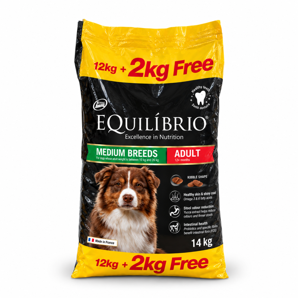 Equilibrio Medium Breeds Adult Dog Food