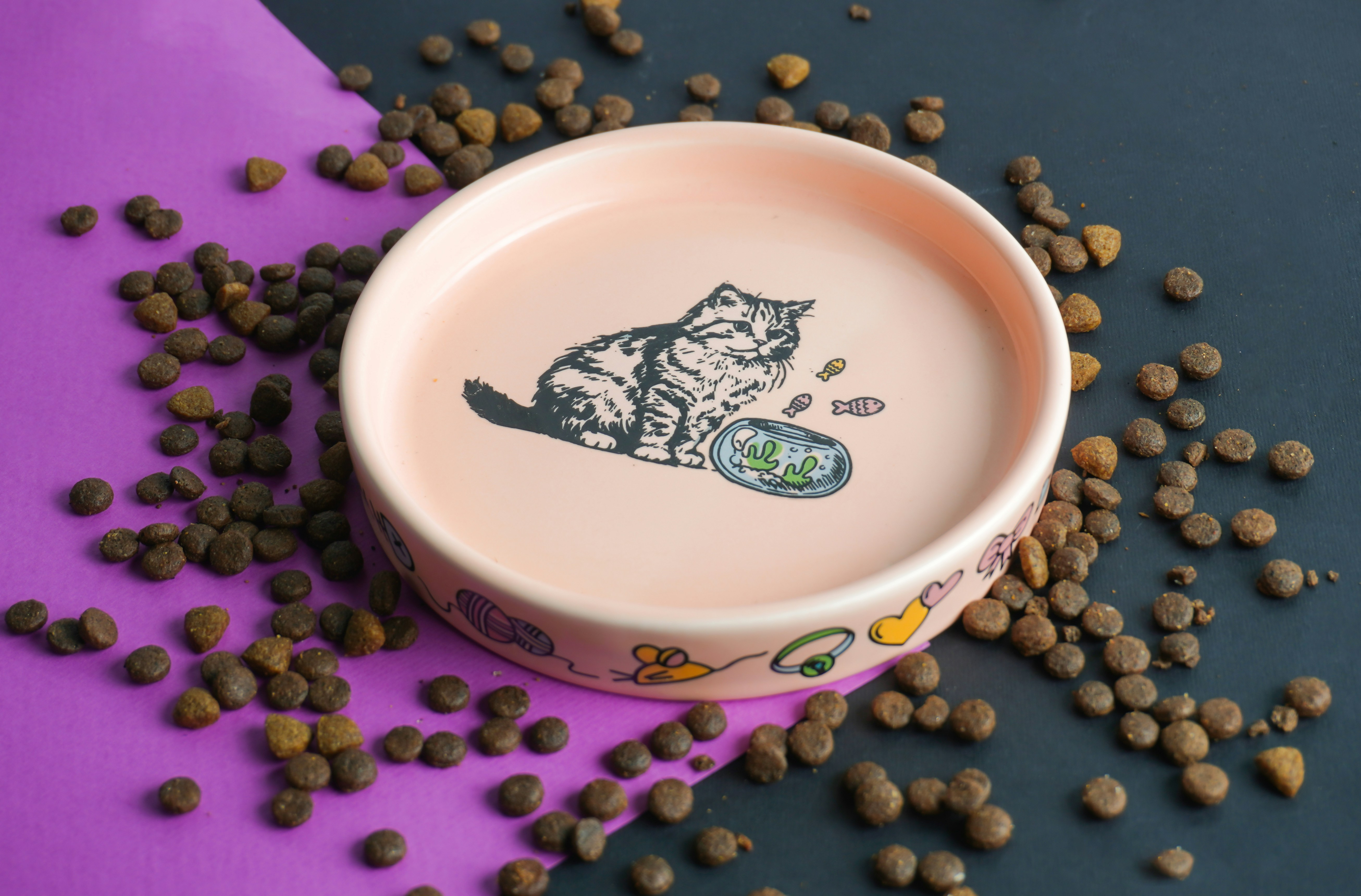 Switching Cat Food: A Stress-Free Guide