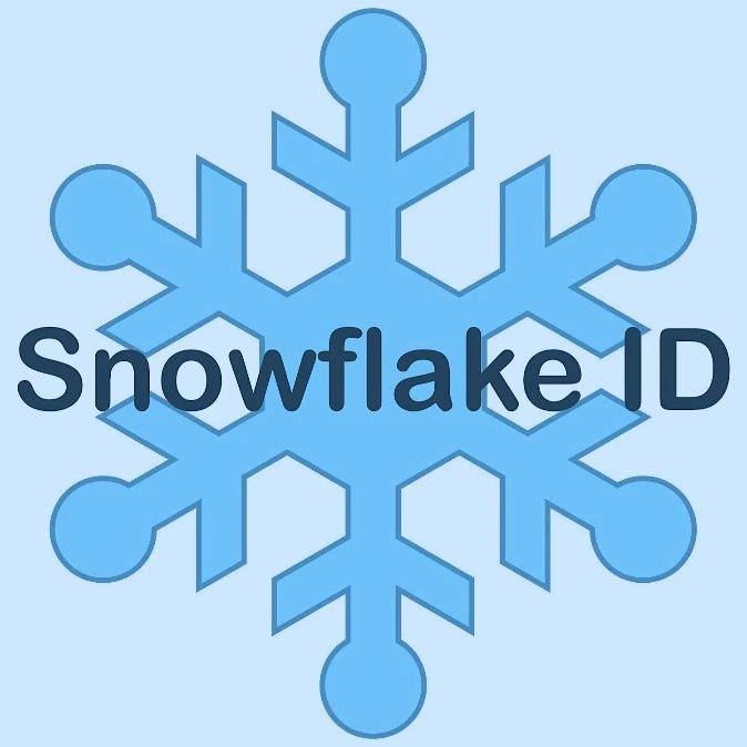 Snowflake UID를 사용해야하는 이유
