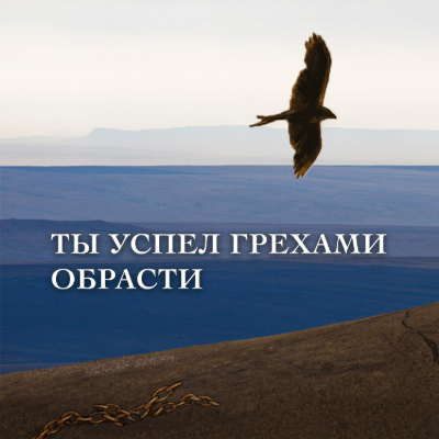 Ты успел грехами обрасти 
