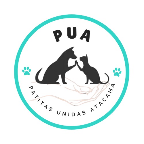 Fundación Patitas Unidas Atacama