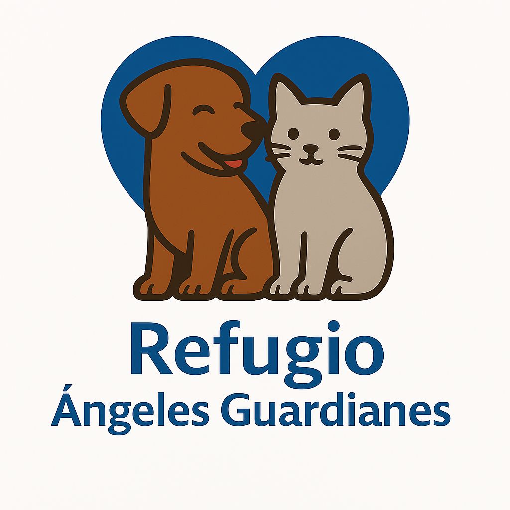 Fundacion Angeles Paola Antofgasta