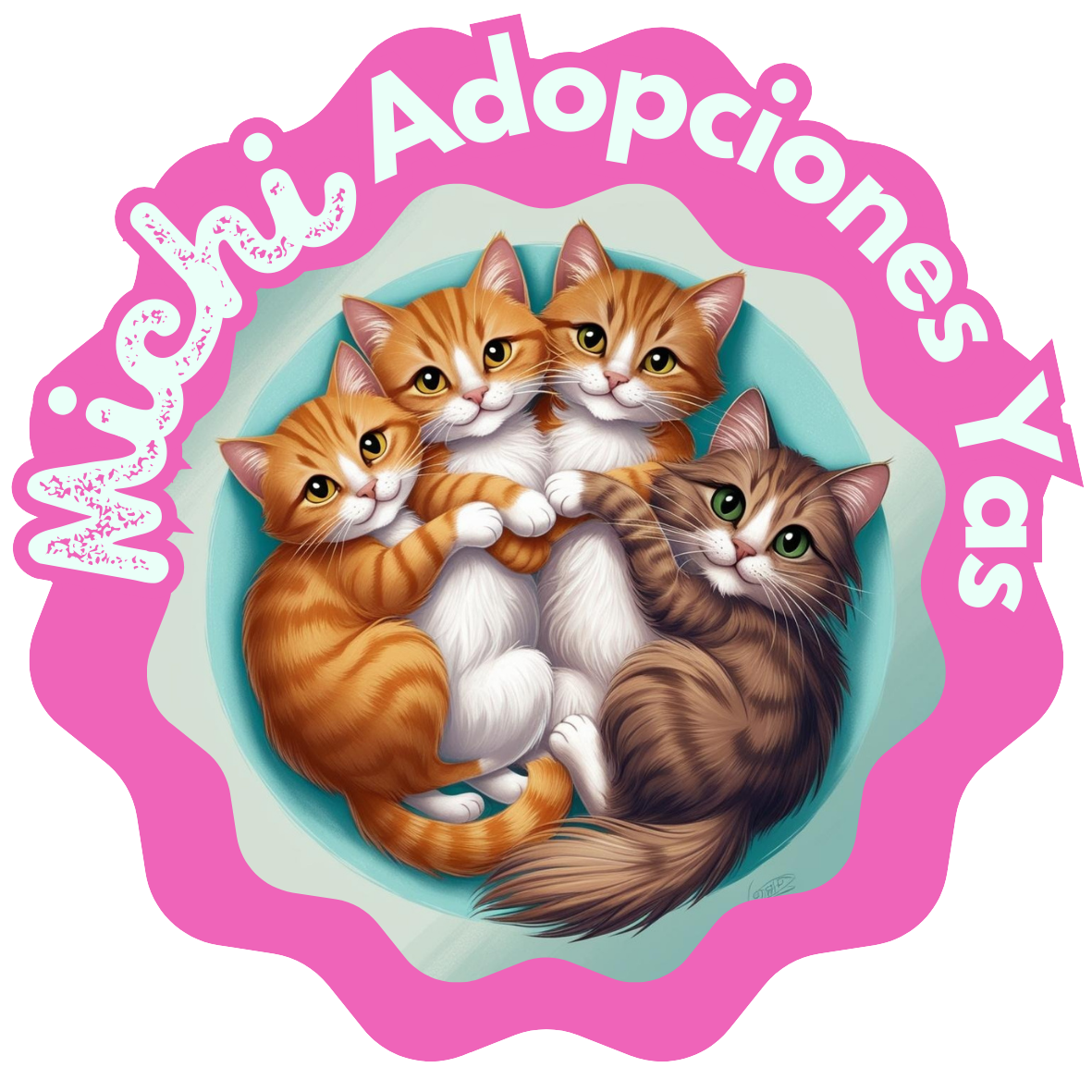 Michi Adopciones Yas