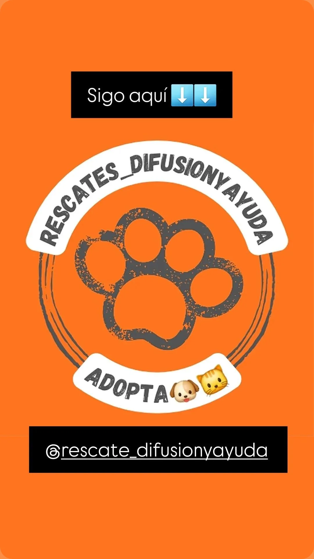 Esperanza del alma jimenez aranda