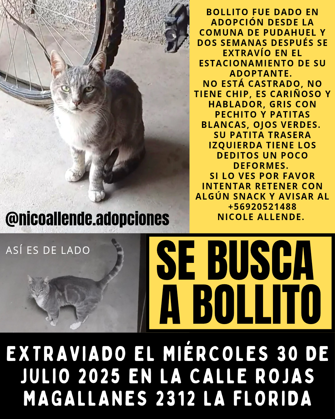 Nicole Andrea Allende Miranda