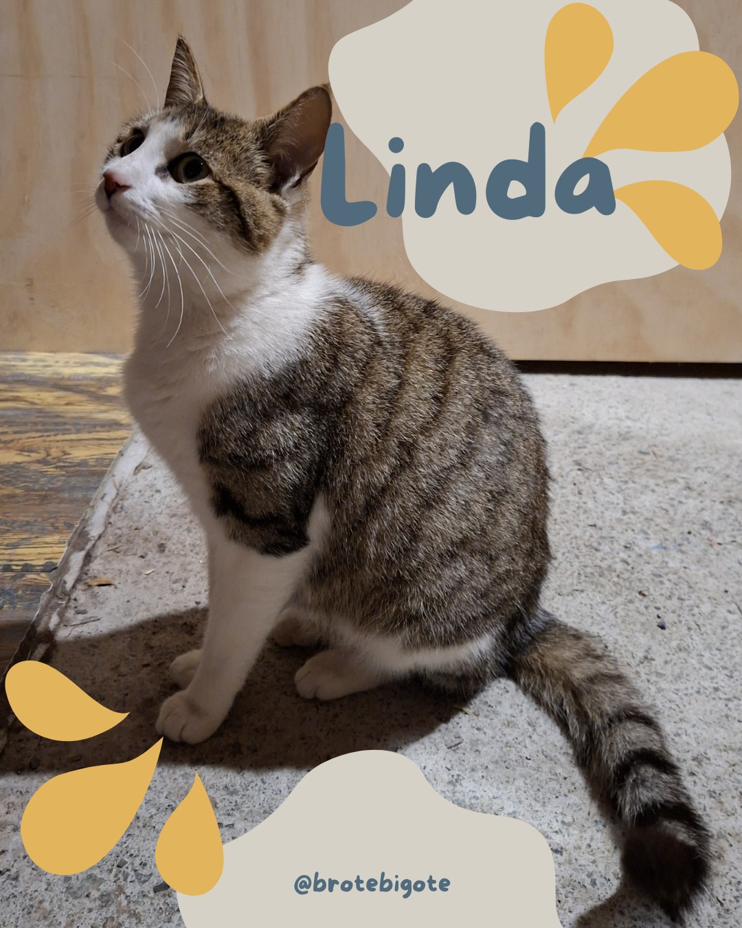 Foto de Linda