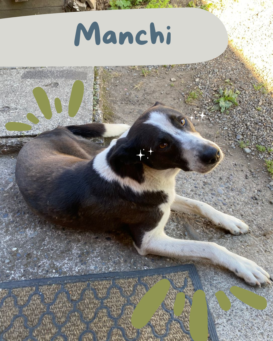 Foto de Manchi