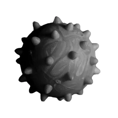 Brinquedo Ces Lcm Borracha Bola Maciça Com Cravo Extraforte 55mm Tam