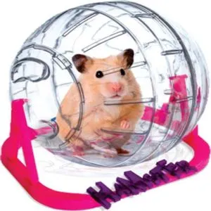 Globo Hamster Ball Médio