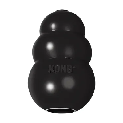 Kong Black Extreme Dog Toy, Small