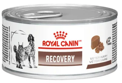Lata Royal Canin Recovery 195 G