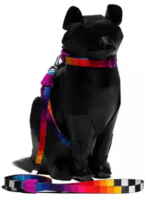 Zee Peitoral Para Gatos Prisma