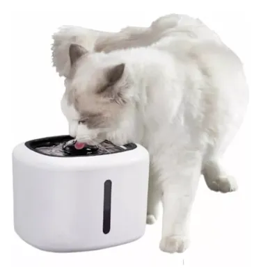 Bebedouro Fonte Para Gatos Jambo