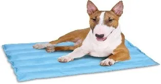 Tapete Gelado G 50x90cm Dog242