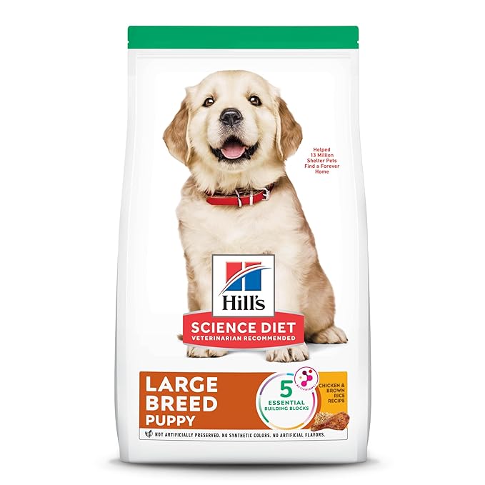 Hill’s Science Diet Puppy Large Breed Chicken Meal & Oats Recipe