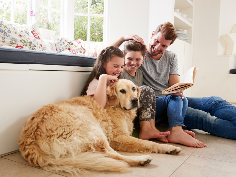 5 Essential Tips for Growing Your Pet Care Business