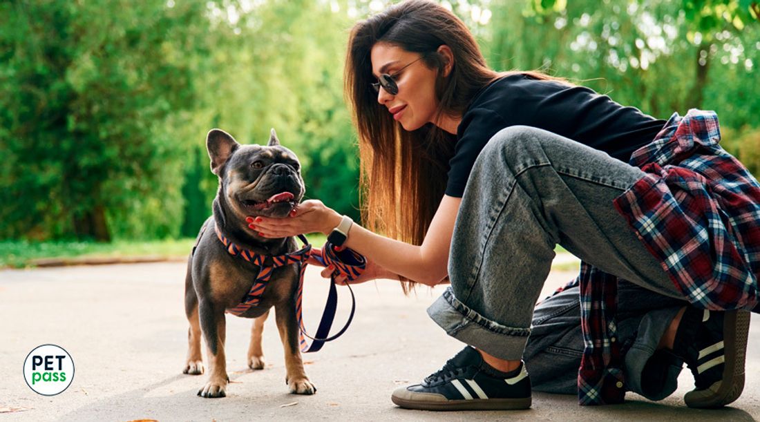 Mujer con su mascota revisando las garrapatas que pueda tener.