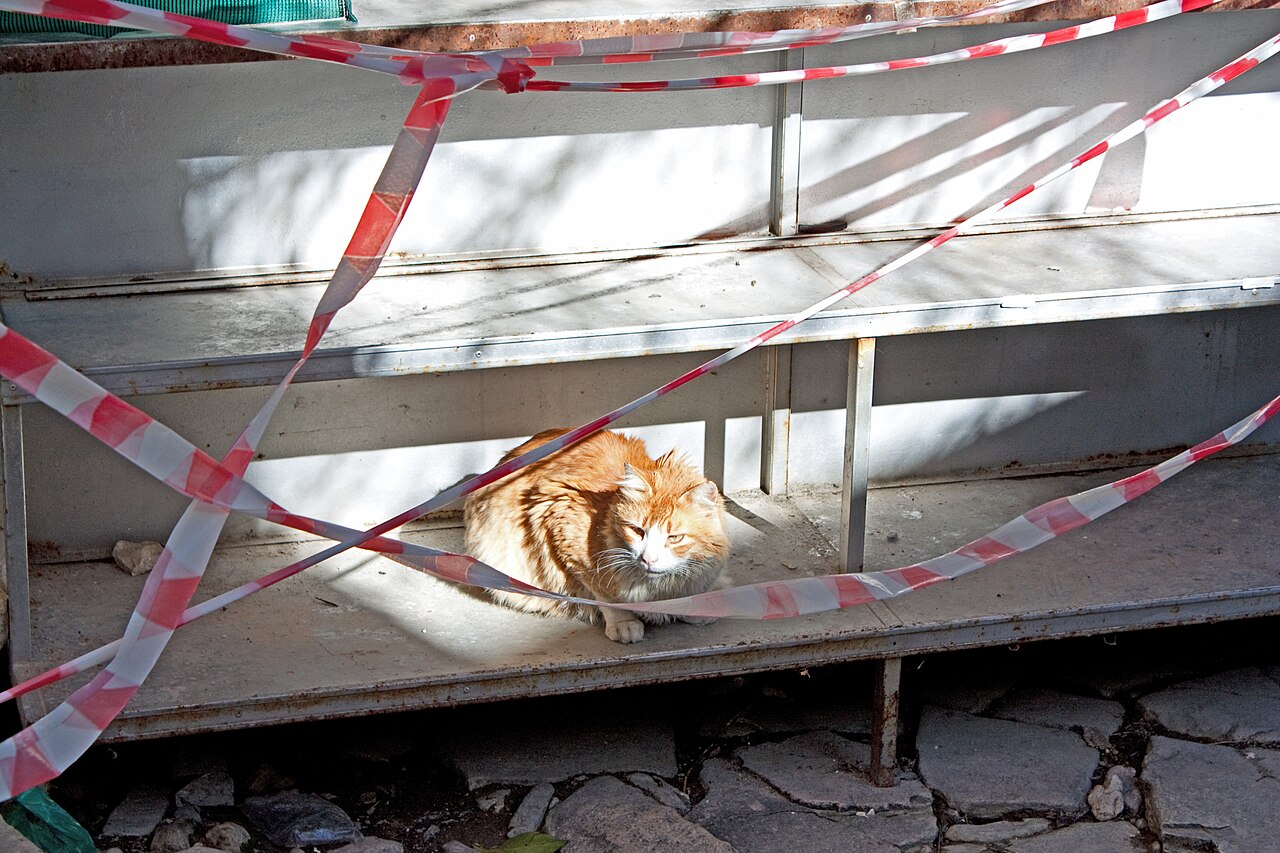 Cyprus — 1