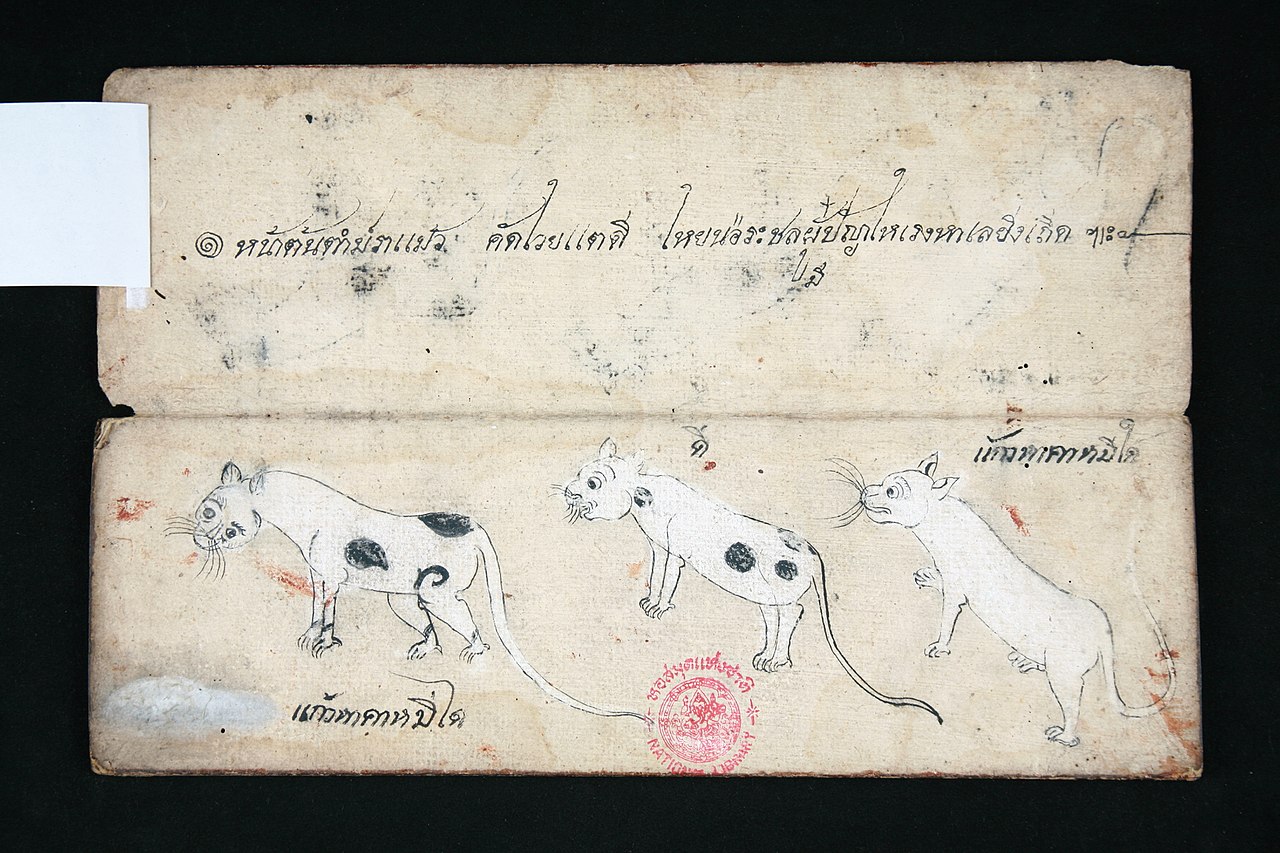 Khao Manee — 6