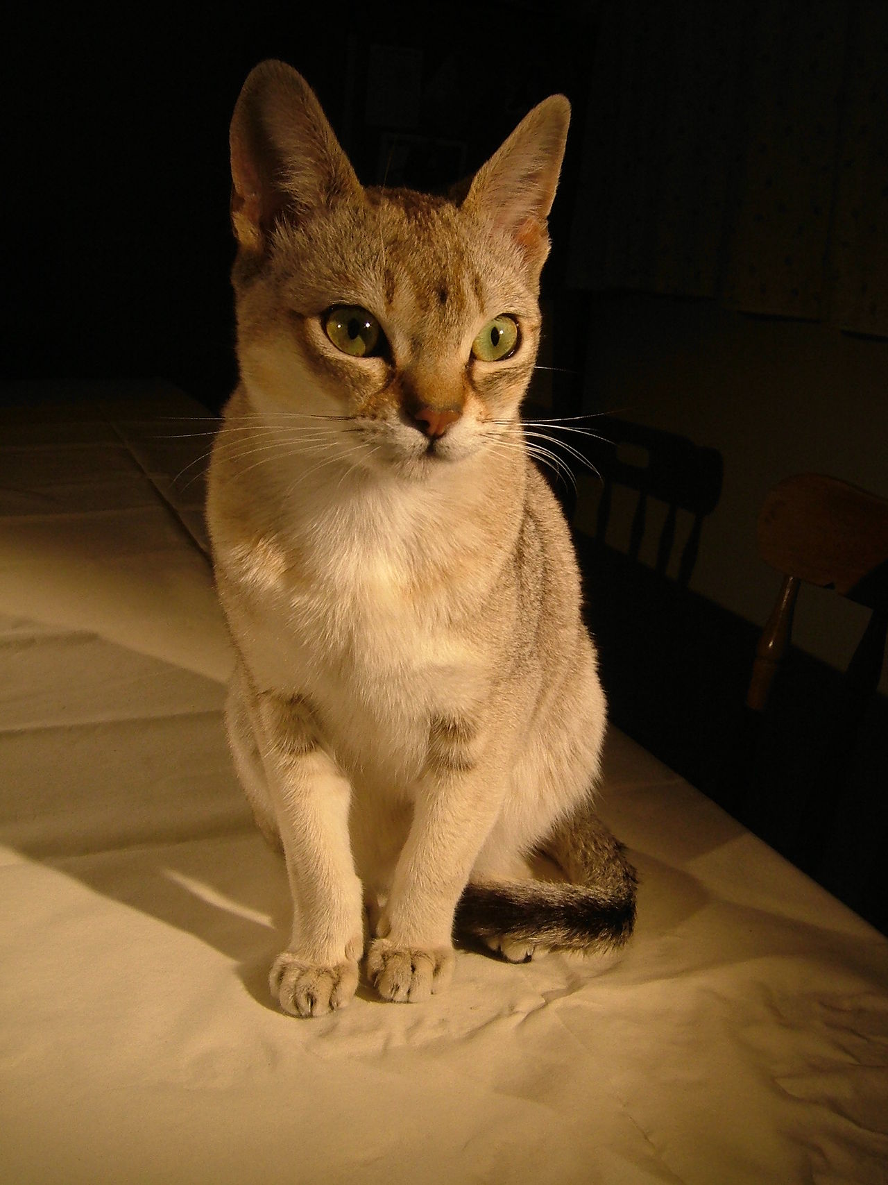 Singapura — 1
