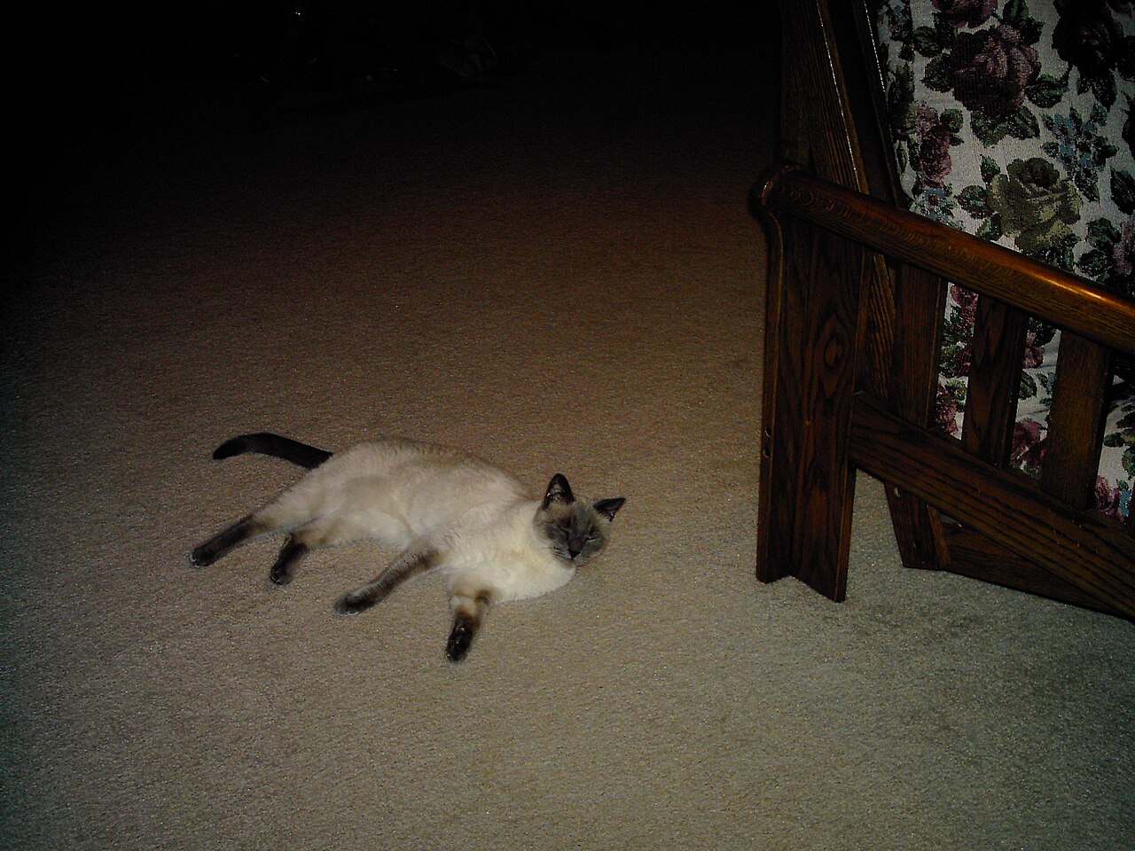 Tonkinese — 1