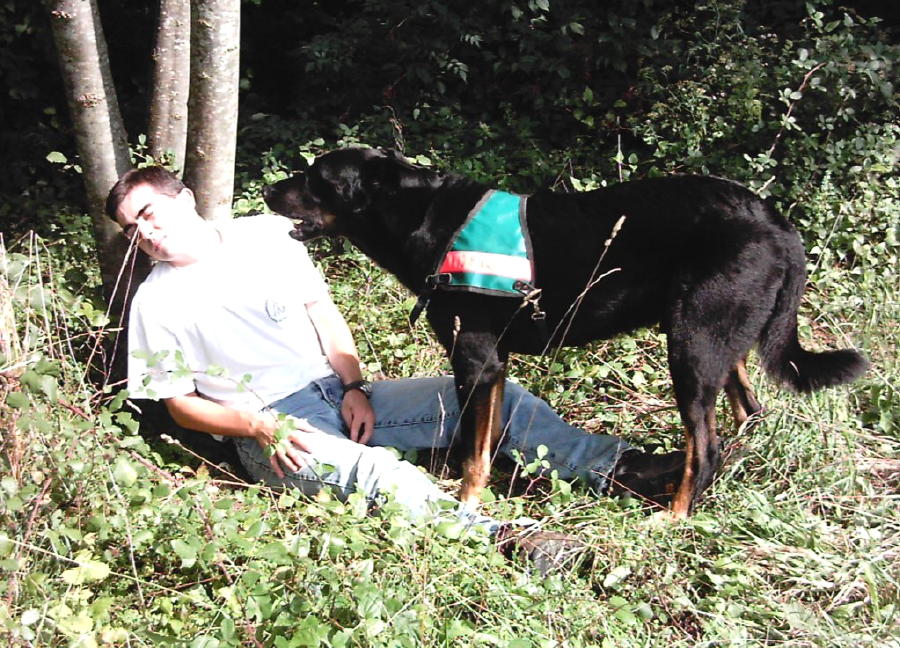 Beauceron — 4