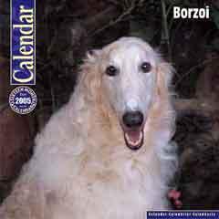 Borzoi — 4
