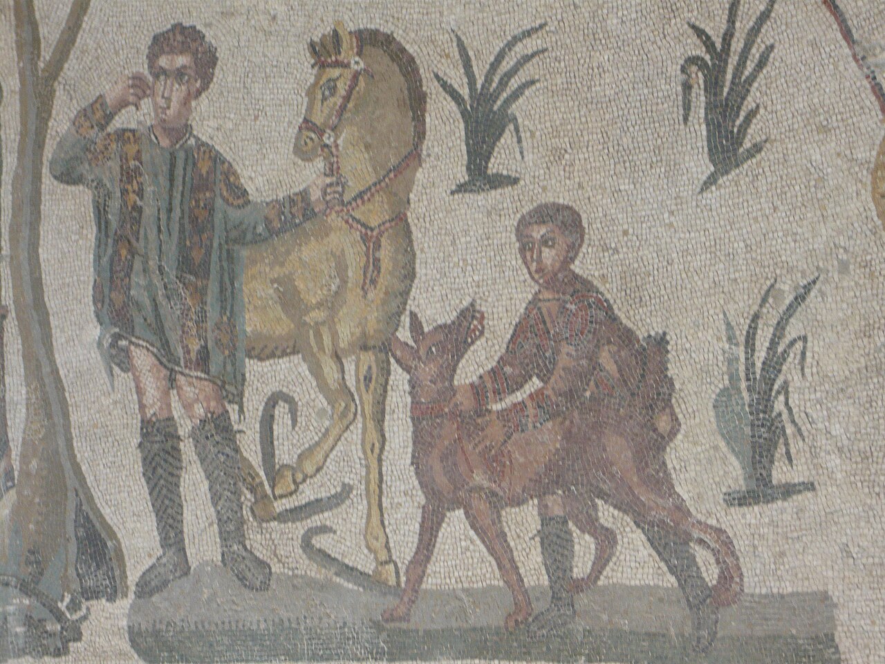 Cirneco dell'Etna — 4