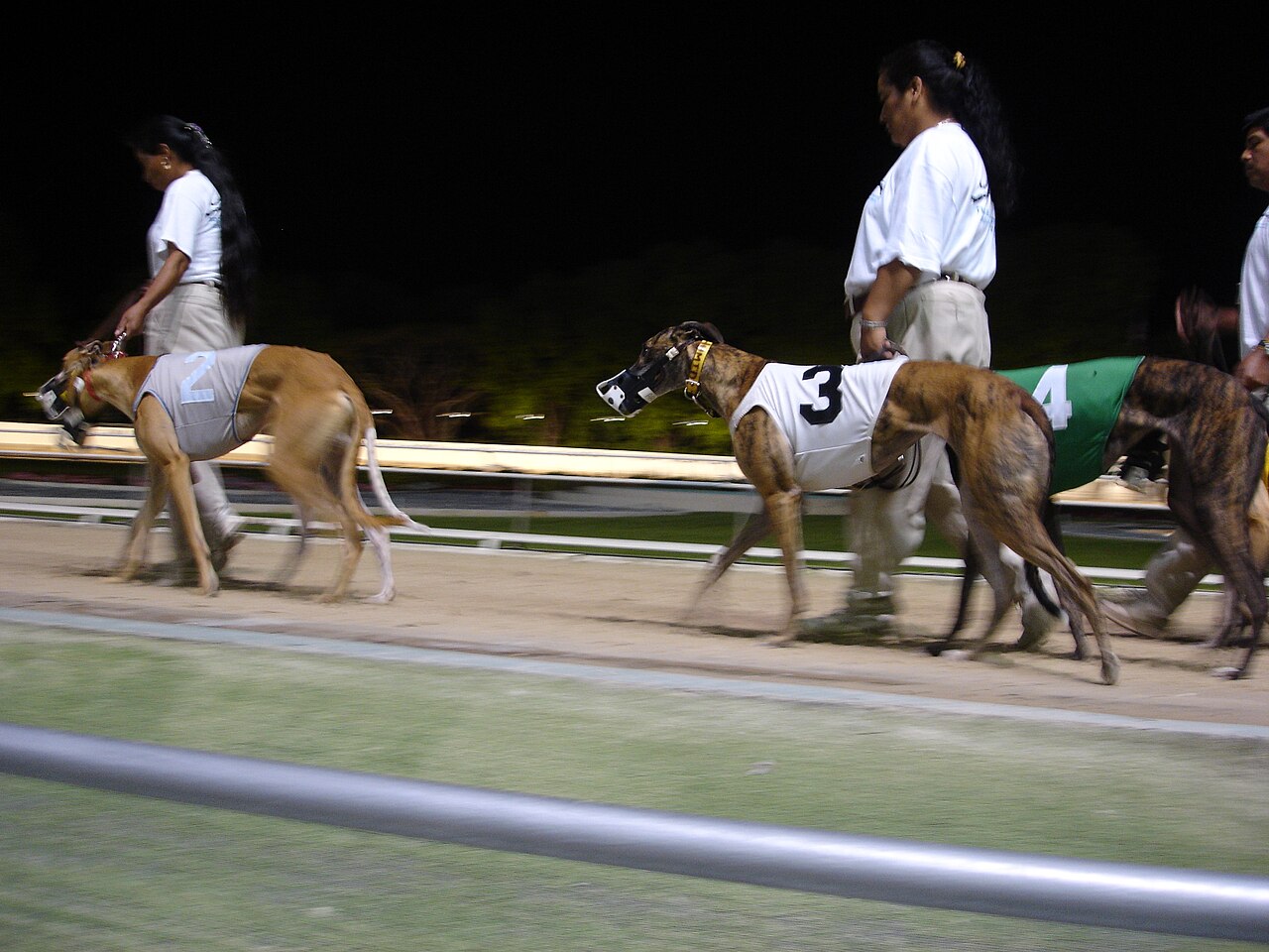 Greyhound — 3