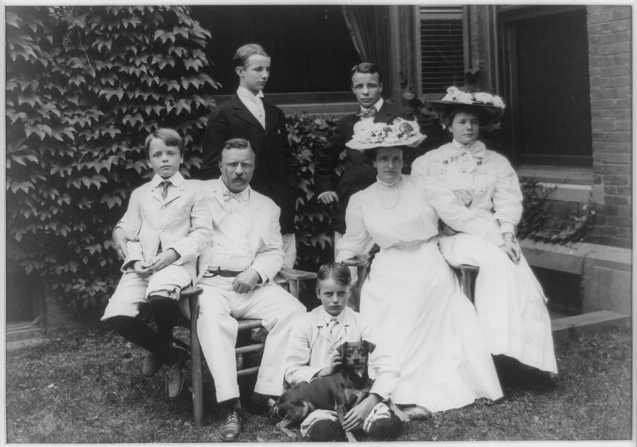 Teddy Roosevelt Terrier — 3