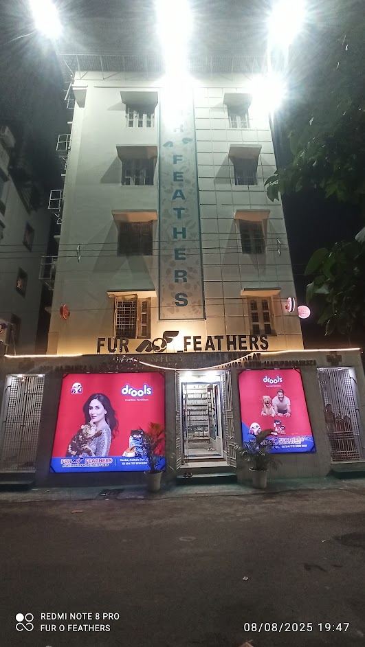 FUR O FEATHERS, Kasba