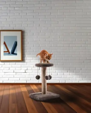 Cat House Scratcher 10030