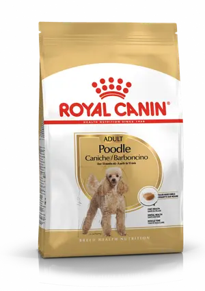 Poodle Adult Dog Dry Food 3KG