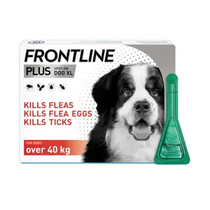 Frontline Combo Spot-On Dog XL Over 40kg) (1 Pipette)