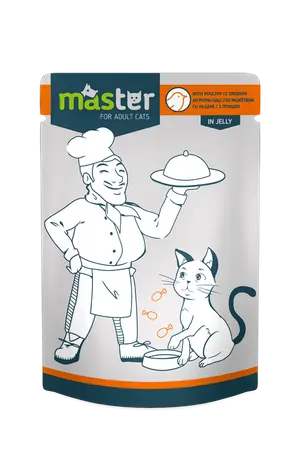 Master Wet Food with Poultry in jelly for Adult Cats 80G