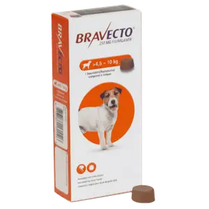 Bravecto MSD 4.5-10Kg Adult Dog Flea & Tick Treatment - 1 Tablet