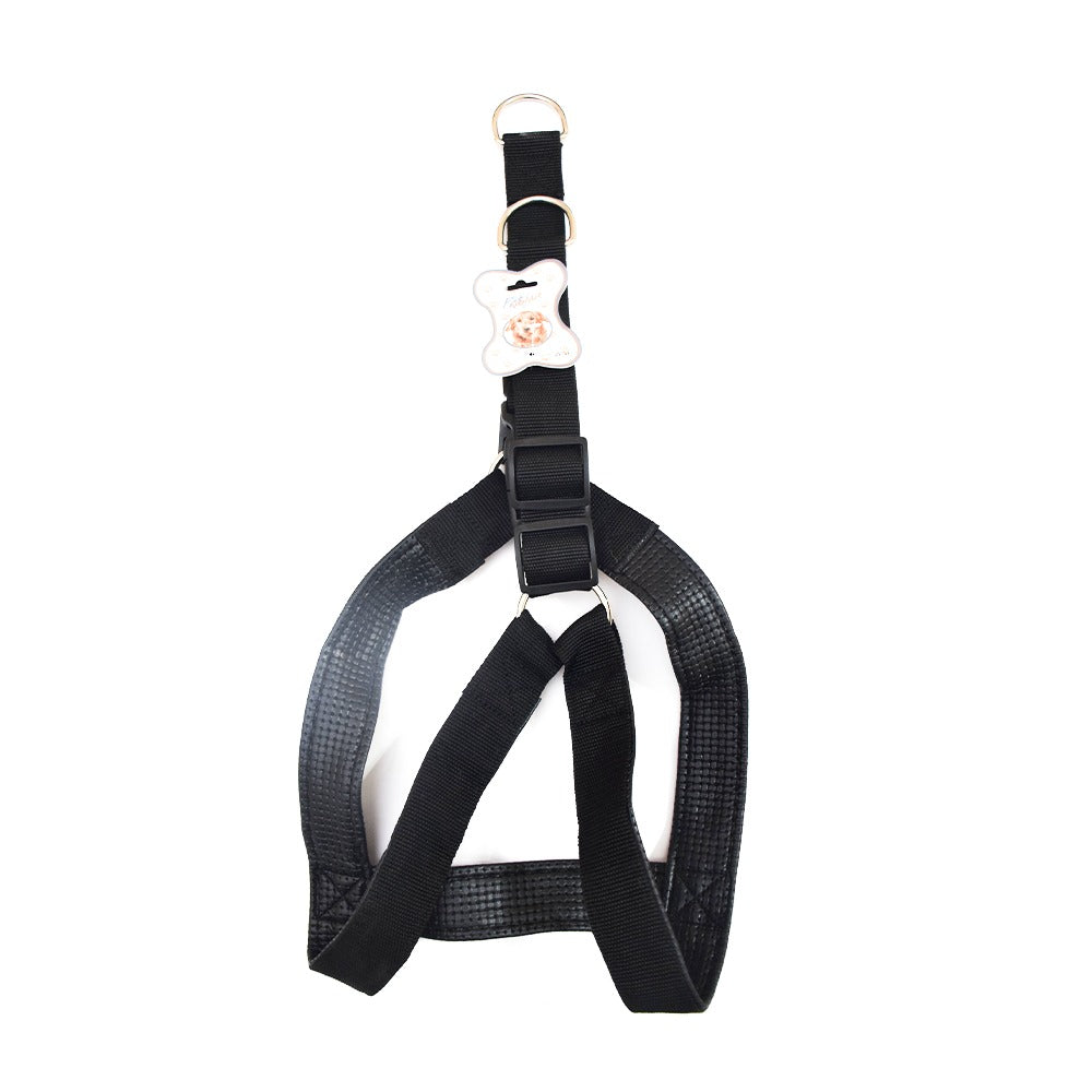 HARNESS