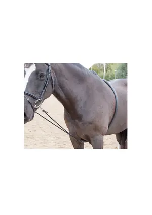 BLENHEIM OUTLINE Lunging AID
